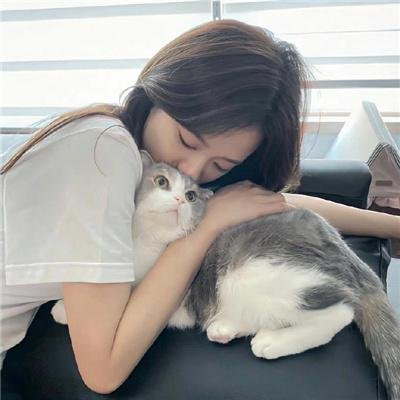 鲨与鲸