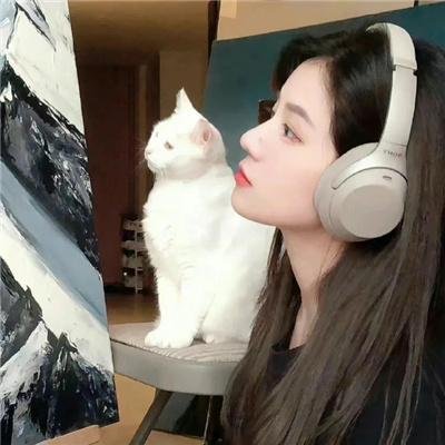 盗影谜情